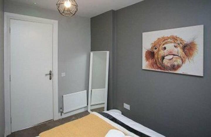 Amazing 3 Bedroom Home, Prime Bt1 Postcode And City Centre Location Belfast Kültér fotó